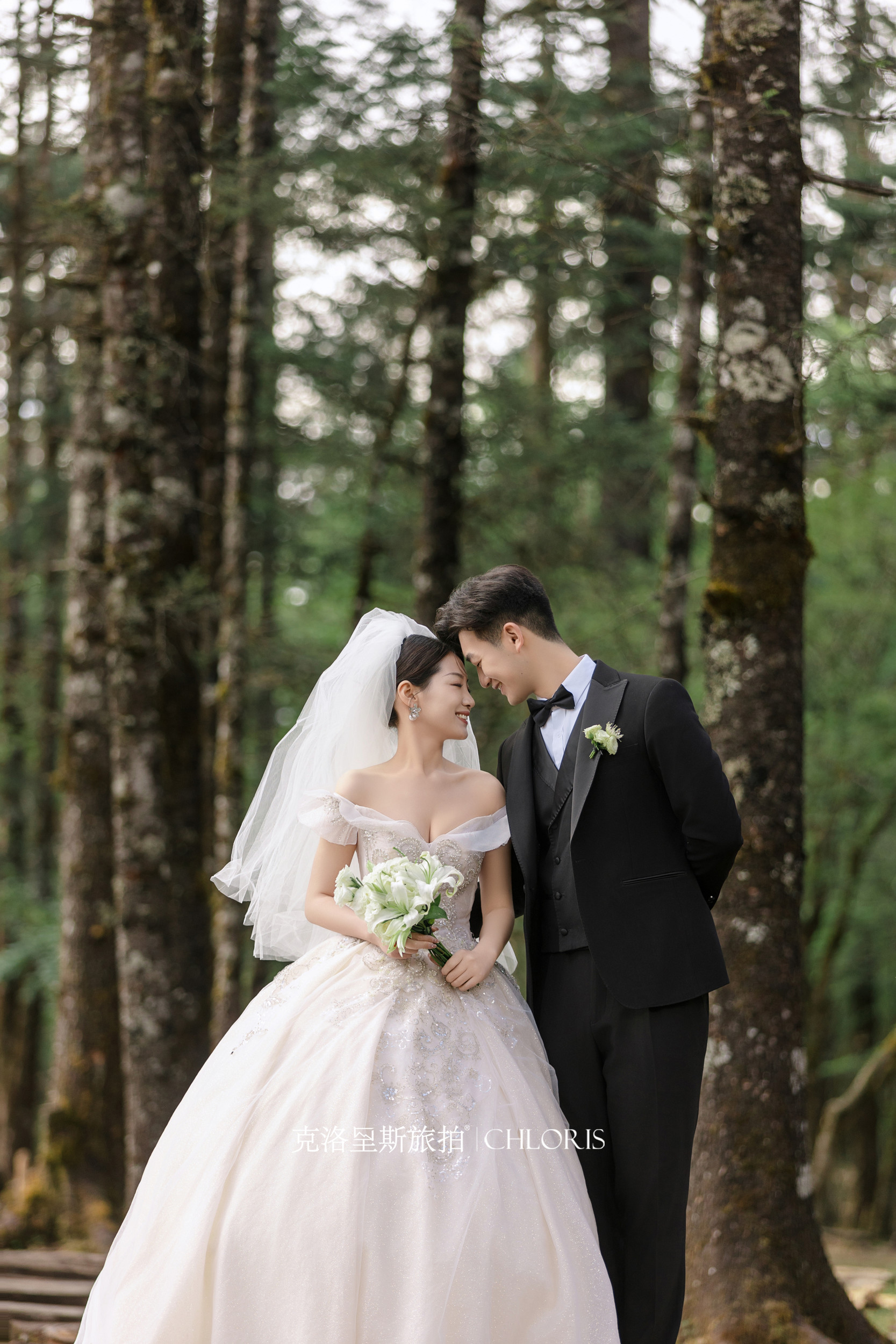 客片-云杉坪系列9